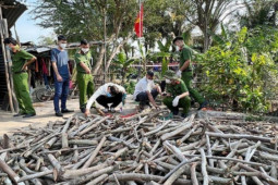 Khởi tố nghịch tử sát hại mẹ ruột vào ngày cận Tết Nguyên đán
