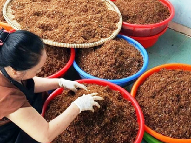 Ẩm thực - Đậm đà muối kiến vàng của người Jrai