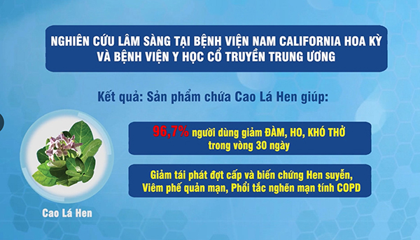 Đờm, ho, khó thở, hen suyễn lâu năm đến mấy cũng phải "chào thua" nắm lá này - 4