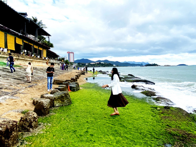 Thềm rêu xanh tuyệt đẹp ở Nha Trang hút khách đến check-in - 2