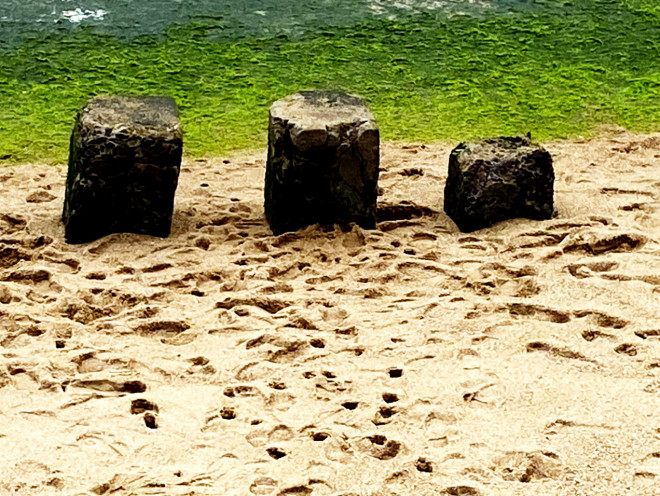 Thềm rêu xanh tuyệt đẹp ở Nha Trang hút khách đến check-in - 4