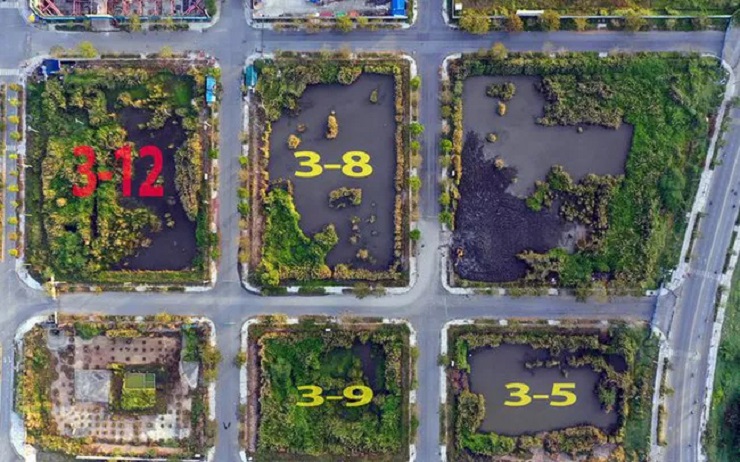 Hình ảnh 4 lô đất trúng đấu giá tại Khu đô thị Thủ Thiêm