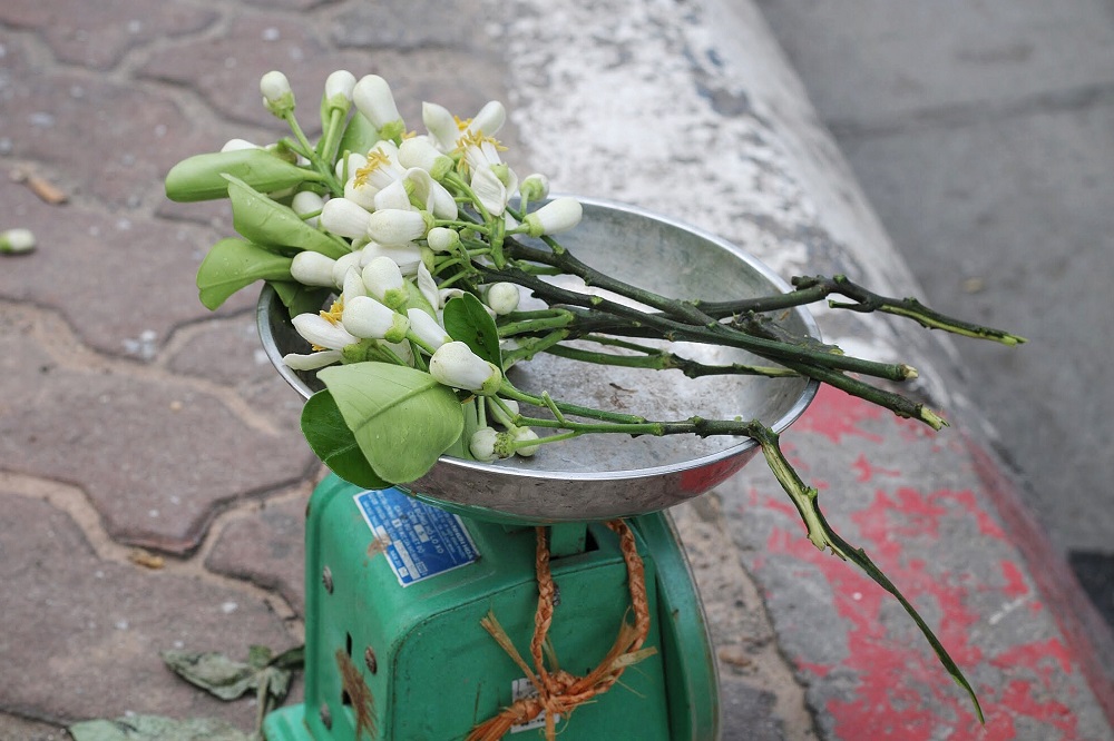 Hoa bưởi đầu mùa xuống phố giá 300.000đ/kg, đắt như hoa nhập ngoại - 5