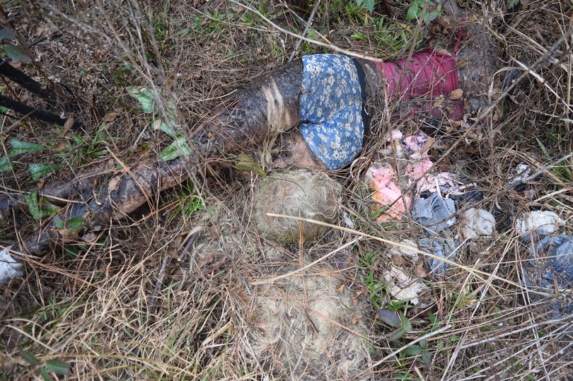 Búp bê tình dục bị vứt bỏ trong rừng.