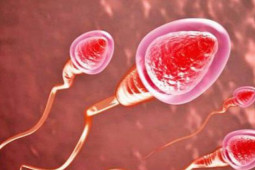 Sức khỏe đời sống - Tinh dịch đổi màu và những điều cần lưu ý để "tinh binh" khỏe mạnh