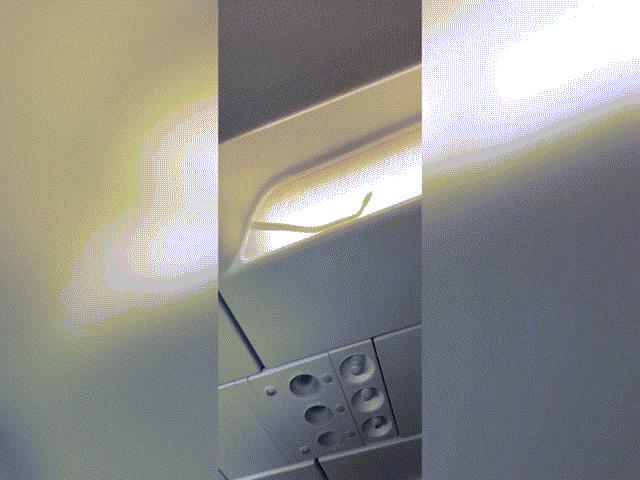 Phi thường - kỳ quặc - Đang đi máy bay, rợn người khi nhìn lên trần