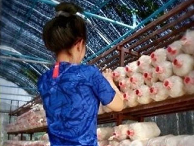 Thời trang - Những bộ ảnh thời trang lấy cảm hứng từ công việc nhà nông gây tranh cãi