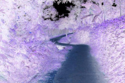 Pháp luật - Cô gái mất tích suốt 14 năm (P1): Bí ẩn bộ xương khô giữa công trường