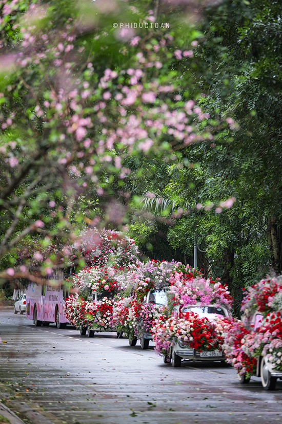 Ecopark mang cả rừng hoa vào Hà Nội, tặng hàng chục nghìn người trong ngày lễ tình yêu - 3