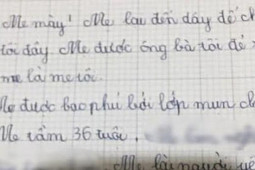 Giáo dục - du học - Bài văn miêu tả mẹ của cậu bé tiểu học với loạt khuyết điểm, đọc xong chỉ muốn đánh đòn