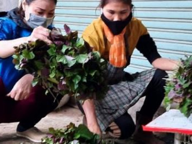 Thị trường - Tiêu dùng - Thị trường lá xông nhộn nhịp thời Covid-19