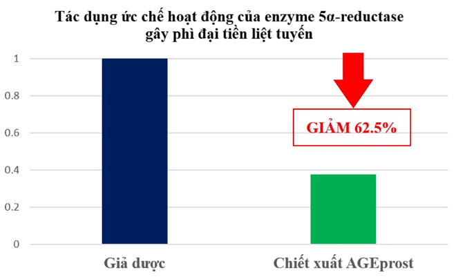 5 lý do Tiền Thiên Đan hiệu quả với bệnh phì đại tiền liệt tuyến - 2