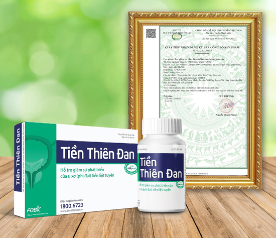 5 reasons why Tien Thien Dan is effective with prostate enlargement - 3