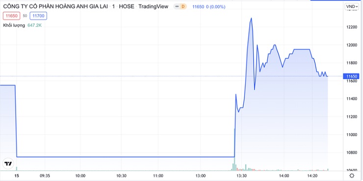 Cổ phiếu HAGL có cú hồi phục ngoạn mục thời điểm đầu giờ&nbsp;chiều ngày 15/2&nbsp;