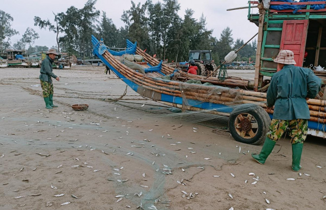 Những ngư dân miền biển Thanh Hóa đã tranh thủ ra khơi đón lộc biển đầu năm mới