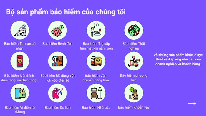 Các sản phẩm bảo hiểm đa dạng của Igloo. (Ảnh chụp màn hình)