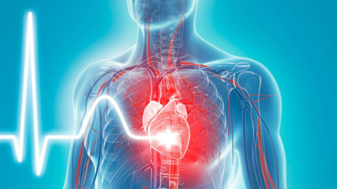 Các nghiên cứu đã ghi nhận một loạt các nguy cơ và chấn thương tim mạch ở bệnh nhân COVID-19