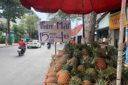 Thị trường - Tiêu dùng - Choáng với chiều lừa khó tin đầu năm: Thấy biển bán dứa thơm siêu rẻ, lại gần mới "ngã ngửa"