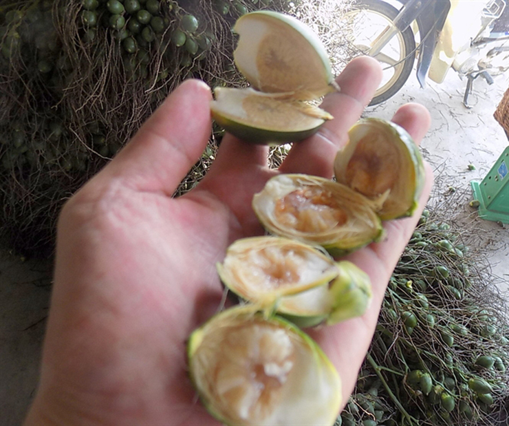 Như vậy, mỗi cân kẹo cau tính tại thời điểm đó là khoảng 7 triệu đồng
