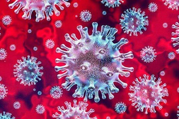 Virus SARS-CoV-2 có thể gây vấn đề lên nhiều cơ quan là do sự tiếp tay của các "kháng thể giả mạo" do chính cơ thể một số người tạo ra, do cơ địa (Ảnh minh họa từ Internet)