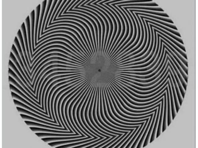 Bạn trẻ - Cuộc sống - Ảo ảnh quang học về những hình người ẩn trong một vòng xoáy đen trắng “gây lú”