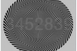 Bạn trẻ - Cuộc sống - Ảo ảnh quang học về những hình người ẩn trong một vòng xoáy đen trắng “gây lú”