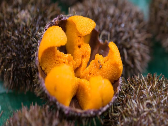 Thị trường - Tiêu dùng - Loại đầy gai góc, phần ăn được thì bé tẹo nhưng bỏ ra cả nghìn đô cũng chỉ được vài lạng