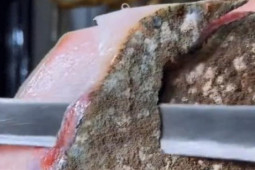 Thị trường - Tiêu dùng - Lạ lùng thịt lợn mốc meo được xem là "báu vật", đặc sản nhà giàu mua về ăn