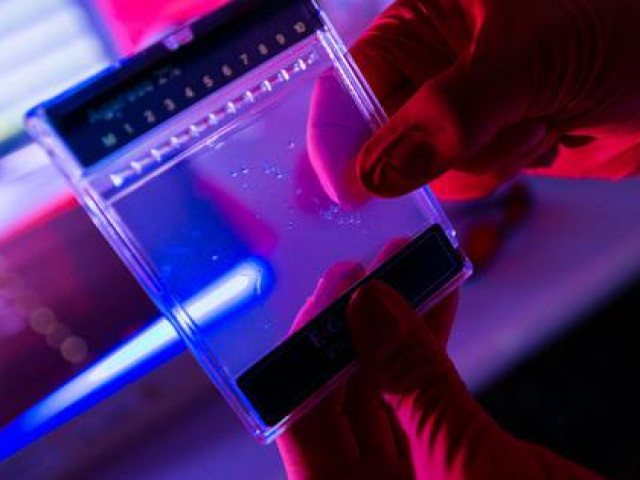 Sức khỏe đời sống - 1/2 dân số Nam Á mang dòng máu khác loài có nguy cơ mắc COVID-19 nặng