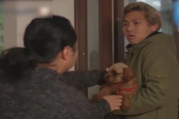 Clip hài hước - Các chàng trai sắm thú cưng để "cua gái" và cái kết quá tê tái