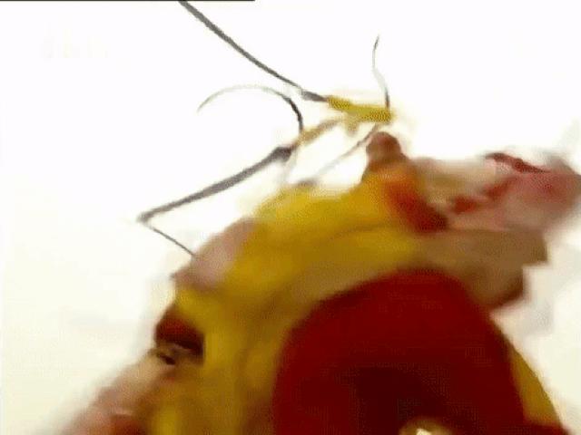 Phim - "Tây Du Ký 1986" : Vì sao Phật Tổ Như Lai lại phân biệt được Tôn Ngộ Không thật và giả?