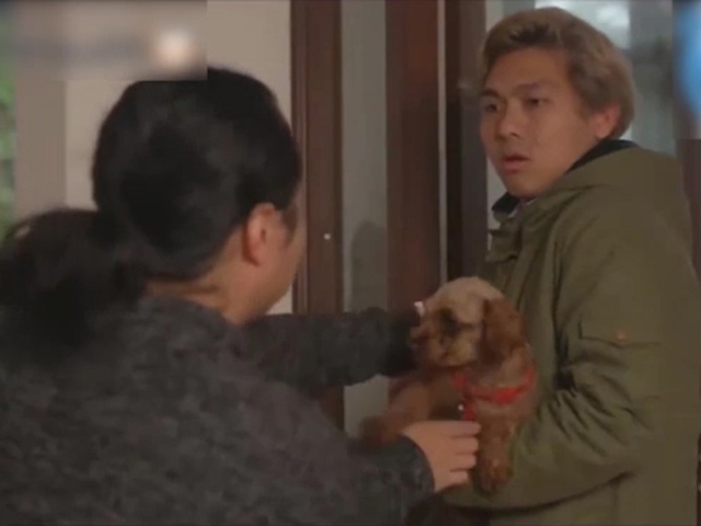 Cười 24H - Các chàng trai sắm thú cưng để "cua gái" và cái kết quá tê tái