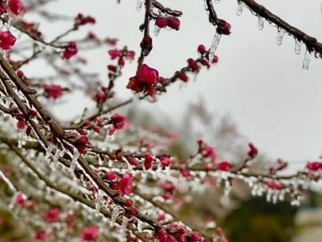 Tin tức trong ngày - Không khí lạnh tăng cường, rét hại ở miền Bắc còn kéo dài đến bao giờ?