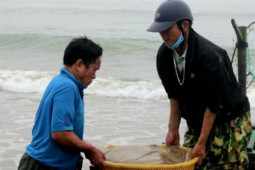 Tin tức trong ngày - Ngư dân Hà Tĩnh được 'lộc trời' ngày rét tê tái