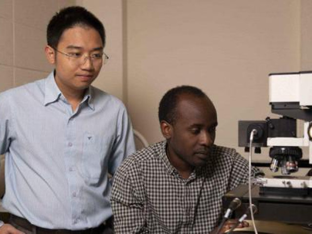 Bạn trẻ - Cuộc sống - Từ trường làng đến nhà khoa học Việt hàng đầu nước Úc: "Cần cù bù thông minh"