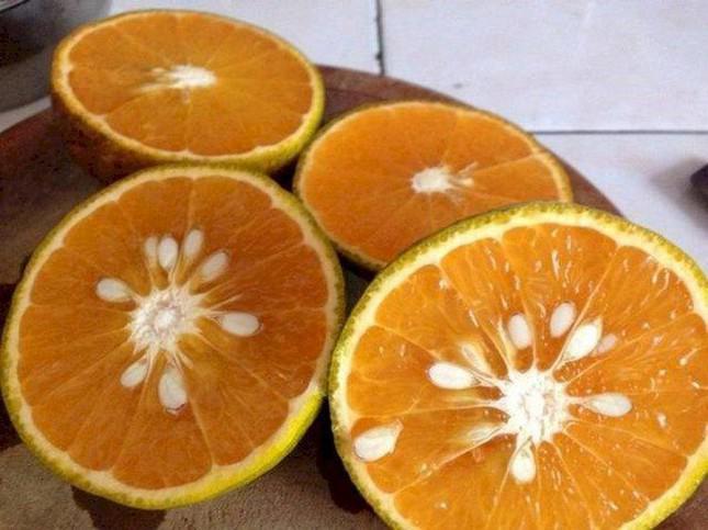 Bất ngờ khi hạt cam mà chúng ta thường bỏ đi lại có rất nhiều lợi ích cho sức khỏe - 1