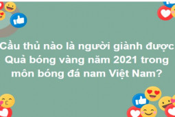 Giáo dục - du học - Não hoạt động hết công suất mới trả lời được hết những câu hỏi này