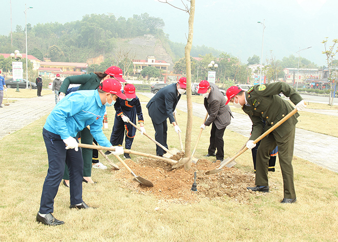 Honda Việt Nam tổ chức “Ngày hội Trồng cây 2022 – Cùng Honda giữ mãi màu xanh Việt Nam” - 4