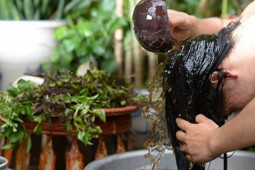 Sức khỏe đời sống - F0 có gội đầu được không?