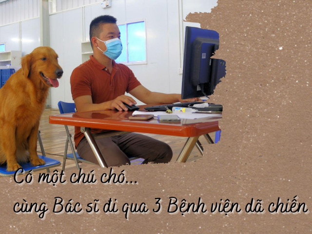 Tin tức trong ngày - Chú chó cùng chàng bác sĩ đi qua 3 bệnh viện dã chiến