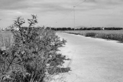 Pháp luật - Mối tình "bí mật" và dã tâm của người đàn bà đơn thân: Án mạng nơi lán trâu