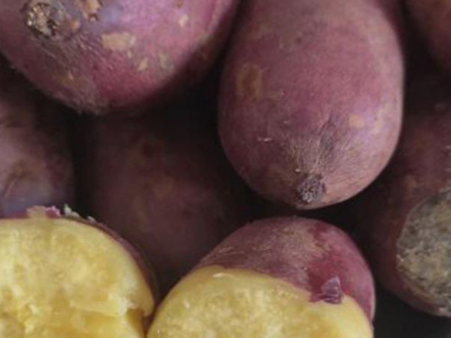 Ẩm thực - Luộc khoai lang không cần nước, cho lá này vào khoai chín bở, thơm lừng