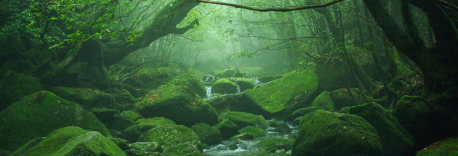 2 điểm đến của Việt Nam phải khám phá trước khi du khách đổ xô đến - 6