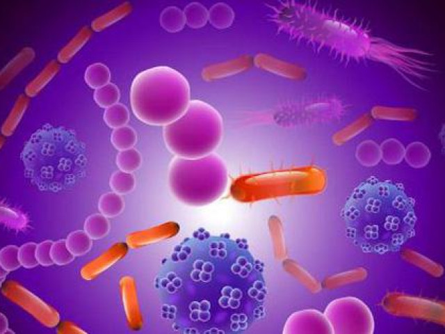 Sức khỏe đời sống - 7 dấu hiệu "chỉ điểm" đường ruột không khỏe