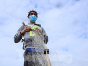 Thị trường - Tiêu dùng - Giăng lưới kéo cả tấn cá gần bờ, ngư dân kiếm tiền triệu mỗi ngày