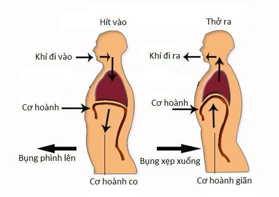 Bài tập thể dục dành cho F0 tại nhà - 1