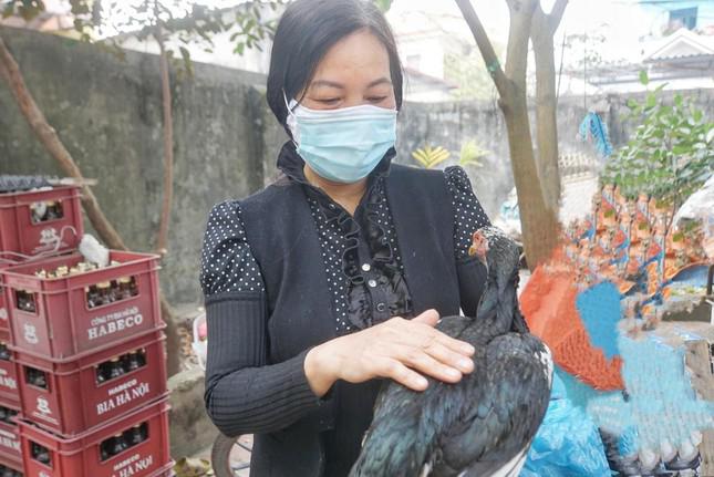Bà Tâm và con gà gây xôn xao của mình