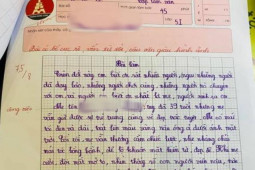 Bạn trẻ - Cuộc sống - "Rụng tim" trước bài văn tả mẹ đạt điểm gần tuyệt đối của bé trai tiểu học