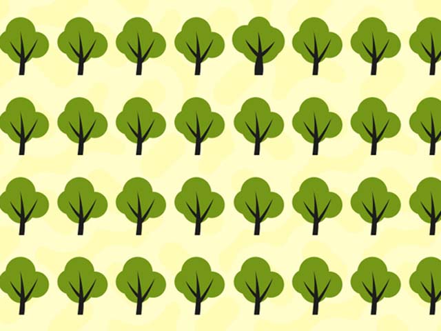 Bạn trẻ - Cuộc sống - Đọc qua tưởng dễ nhưng 80% người đầu hàng 5 câu đố này