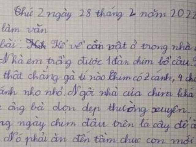 Giáo dục - du học - Học sinh tiểu học làm văn mà thật thà như đếm, lộ hết cả bí mật gia đình